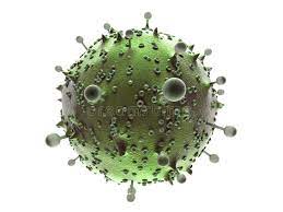 germe microbe